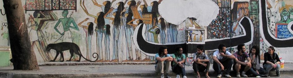 Amro Ali: Egypt & Middle East Scholar
